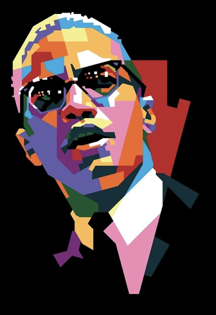 malcolm x colorful art