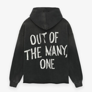 Out of Many, One Hoodie - Image 2