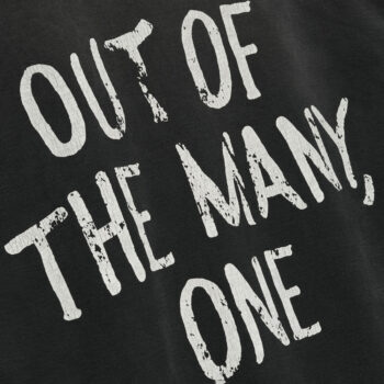 Out of Many, One Hoodie - Image 4